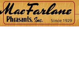 HubPages profile picture for @pheasants
