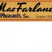 pheasants profile image