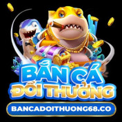 bcdt68co profile image