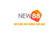 new882info2 profile image