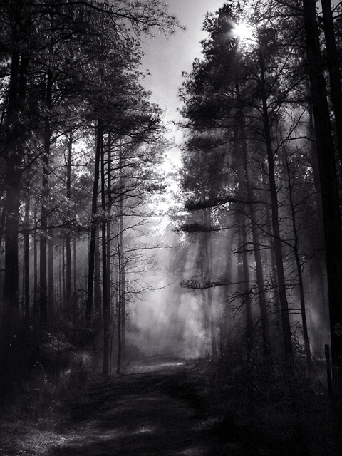 Angle & Atmosphere?