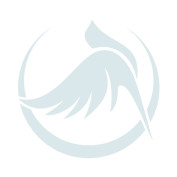 chimcanhquytranke profile image