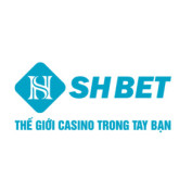 shbet88team profile image