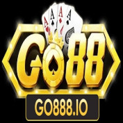 go888io profile image