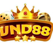 vnd88design profile image