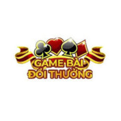 Gameai profile image