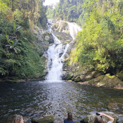 tvpalmub profile image