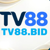 tv88bid profile image