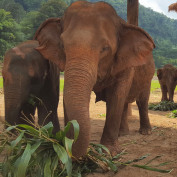 Catherine Stolfi profile image