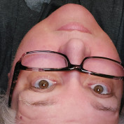 seekingmeme profile image