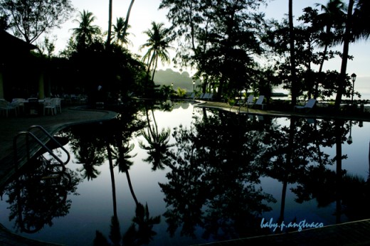 Stillness of the early morning reflected on a pool