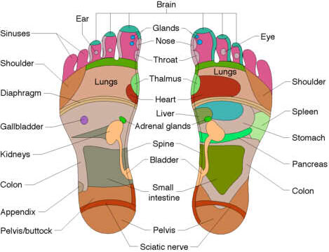 Reflexology Foot Map