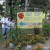 Apple Picking Time In North Carolina