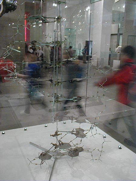 Crick-Watson Model in The Double Helix, published 1967