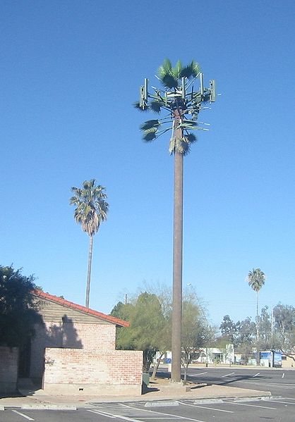 Palm cell tower