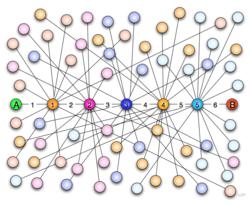 The SIX Degrees of separation suggests that everyone is just SIX steps away from everyone on earth