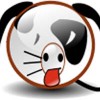 sso profile image