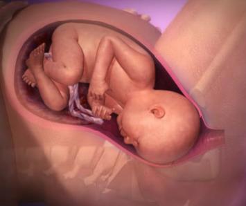 Effacement and dilation - the first stage of labor.