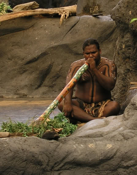The didgeridoo being played by an aborigine.