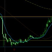 ForexSignals profile image