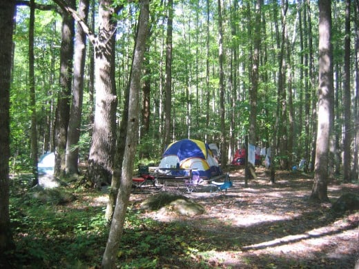 But think Bear safety and its best to stay in well established camp grounds especially if your new to camping.  