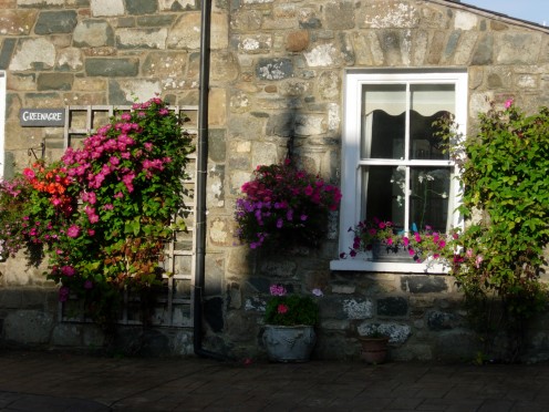 A local cottage