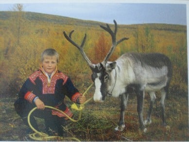 A Saami boy with a deer