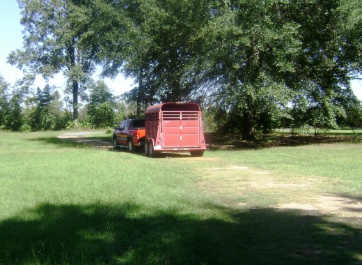 Kojack leaving in the red trailer...