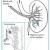 In the nephron (left) tiny blood vessels intertwine with urine-collecting tubes. Each kidney contains about 1 million nephrons. In the nephron (left) tiny blood vessels intertwine with urine-collecting tubes. Each kidney contains about 1 million nephrons.