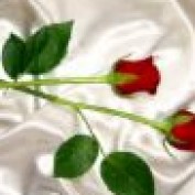 krishantha profile image