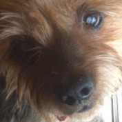 Suzanne Stavely profile image