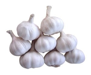 Garlic or Bawang