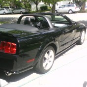 Mr Mustang profile image