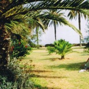 GK 1998 profile image
