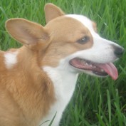 J M Dynes profile image