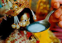 Milk-drinking statue in India