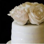 WeddingAdvice profile image