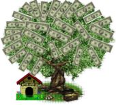 Grow Your Own Money Tree