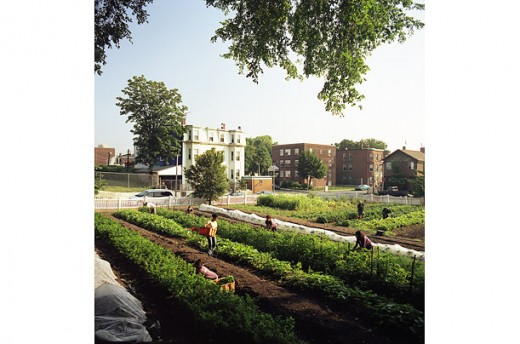 3. Greig Cranna / The Food Project/ Boston Harvest  The Food Project in Boston grows nearly a quarter of a million pounds of food without chemical pesticides, donating half to local shelters and selling the remainder at farmers' markets.
