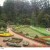 A view of Botonical garden, Ooty A view of Botonical garden, Ooty