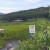 A sign tells visitors of the variety of fish spawning in the lake Photo by C.Borthwick all rights reserved A sign tells visitors of the variety of fish spawning in the lake Photo by C.Borthwick all rights reserved