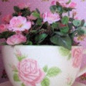Romantic Crafts profile image