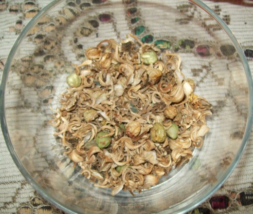 Mixed nasturtium and calendula seeds drying
