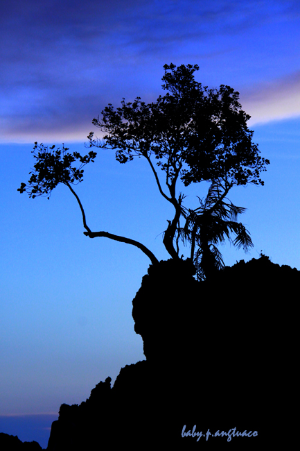 twilight time, the golden hour