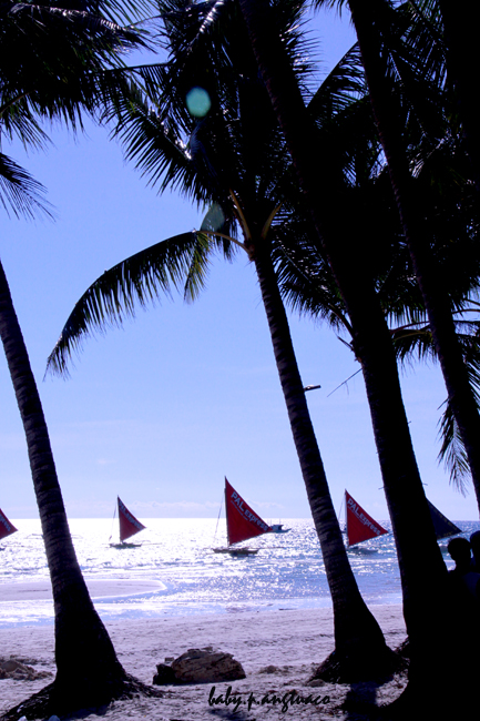 Paraws (sailboats) with light at noon