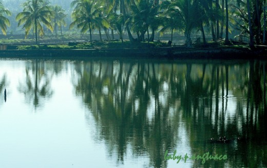 reflection and light
