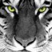 Darren2010 profile image