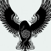 Celuran profile image