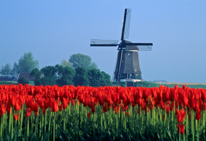 HubPages profile picture for @netherlands