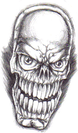 The skull before drawn with a biro pen.Copyright Wayne Tully 2009